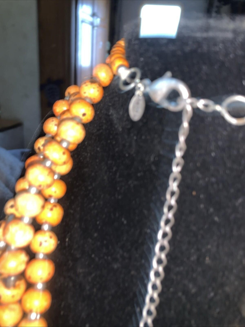Chicos Autumn And Amber Necklace