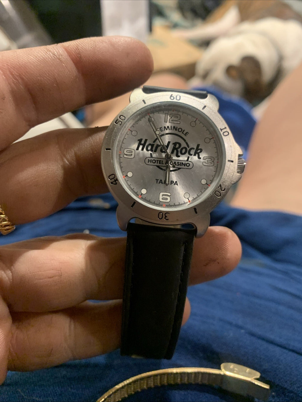 Seminole Hard Rock Tampa Men's Watch Black Leather Band