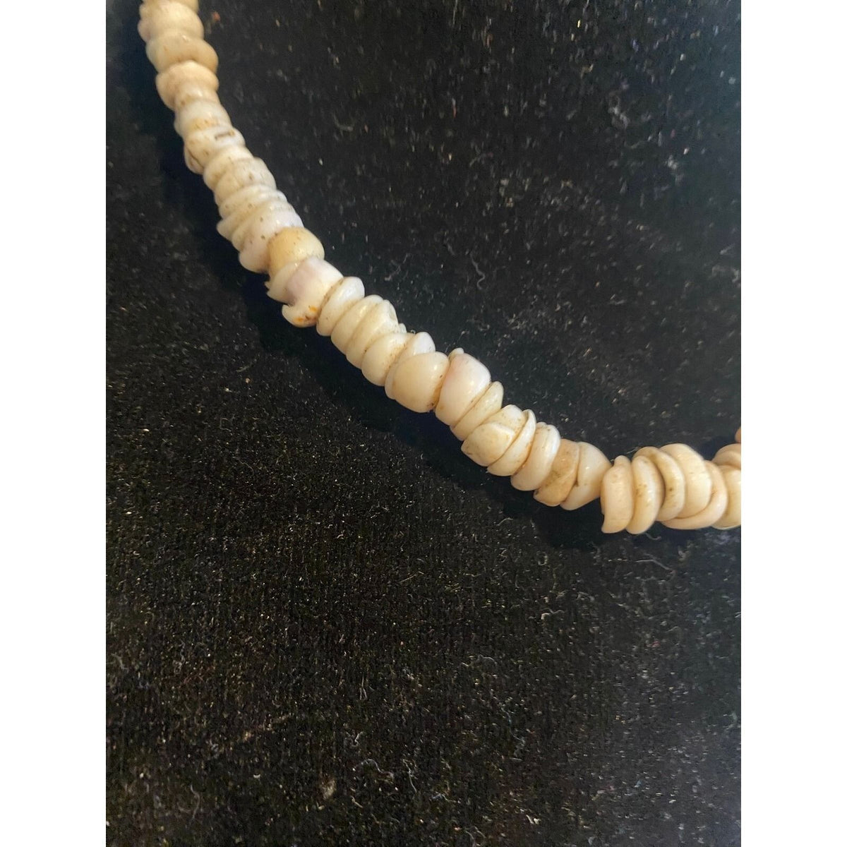 Vintage Puka Shell Necklace Cream Natural Sea Shell Choker Barrel Clasp Surf 16"